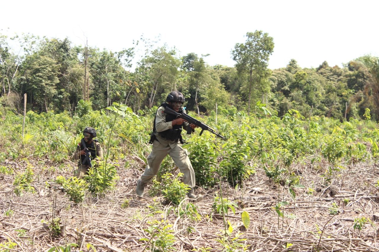 Personel Batalyon B Pelopor Satuan Brimob Polda Riau Melaksakan Peragaan Kemampuan Lapangan Brigade Mobile Jungle Warfare